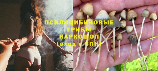 ешки Баксан
