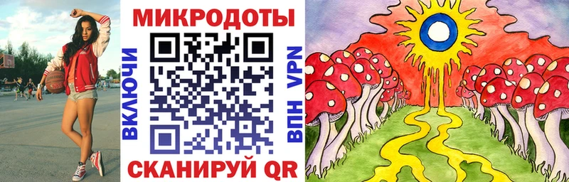 Галлюциногенные грибы Psilocybe  OMG ССЫЛКА  Петухово  где можно купить наркотик 